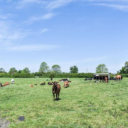 Green Acre Farm Ely Exterior foto